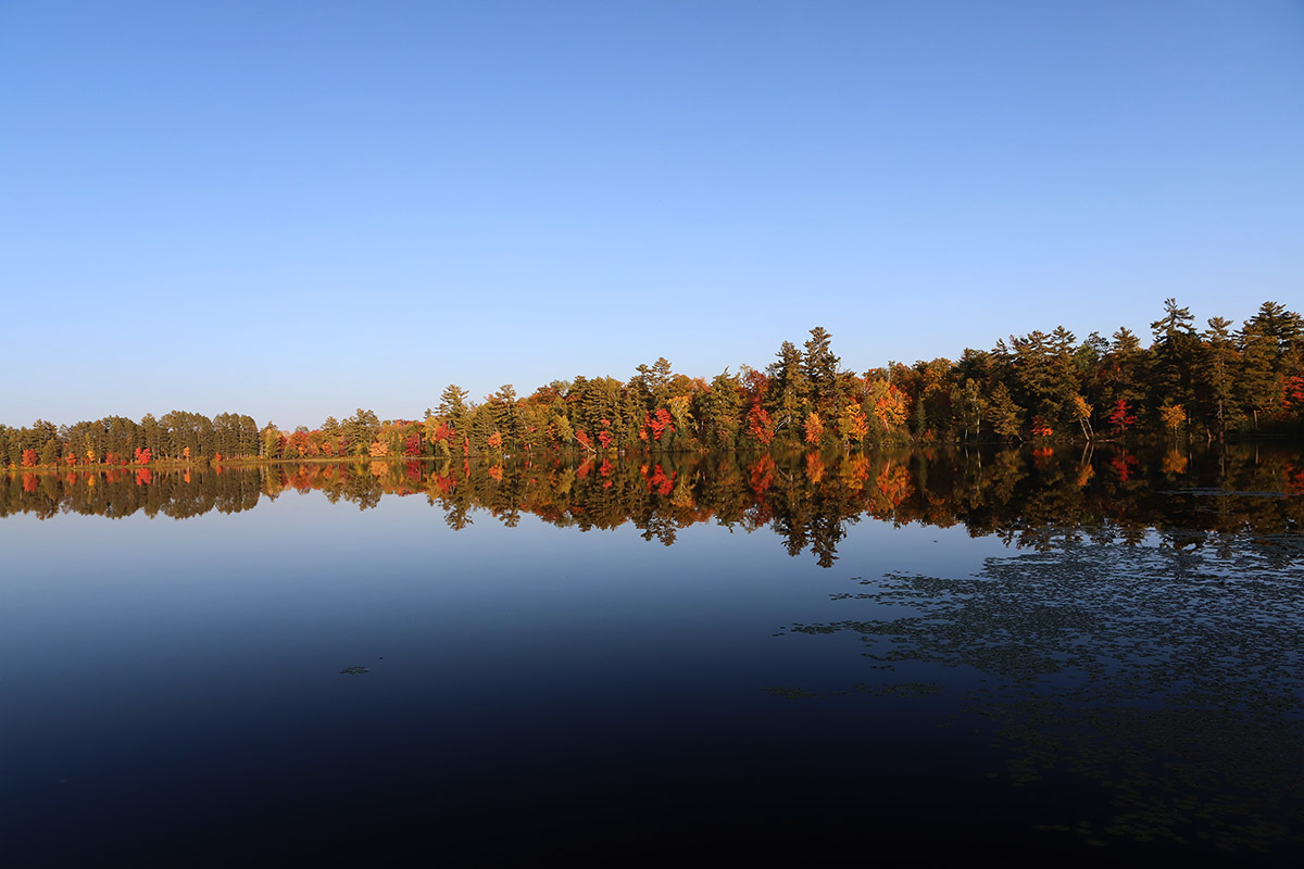 Tamarack Minnesota Area
